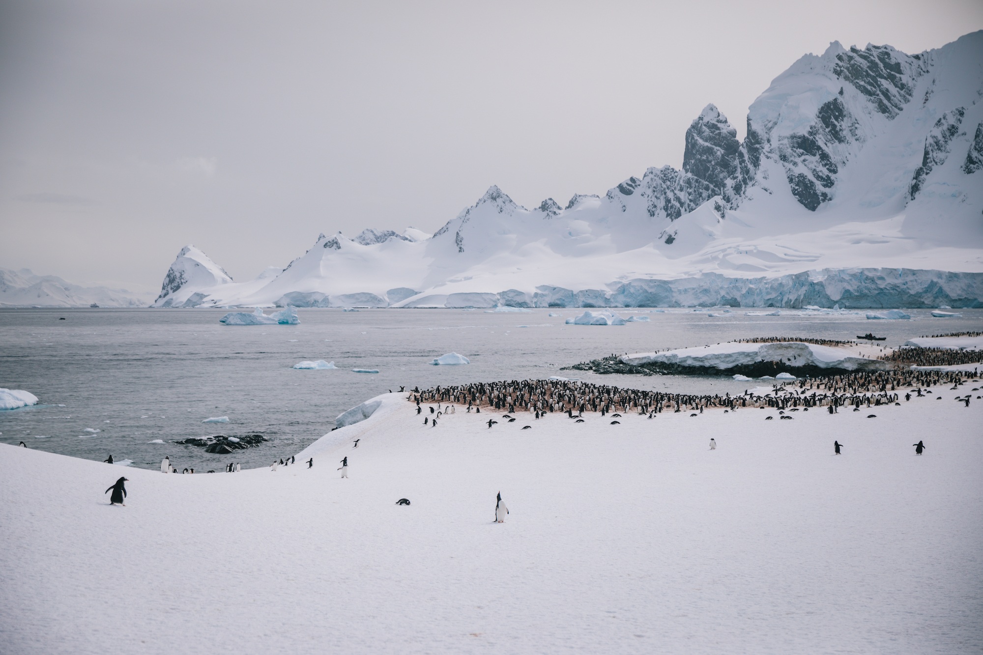 antarctica photos