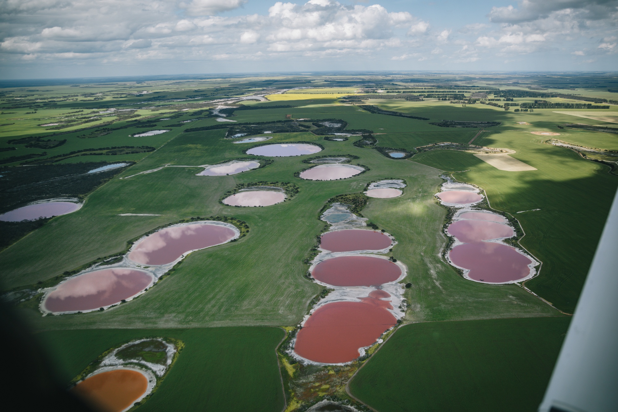 australia's pink lakes