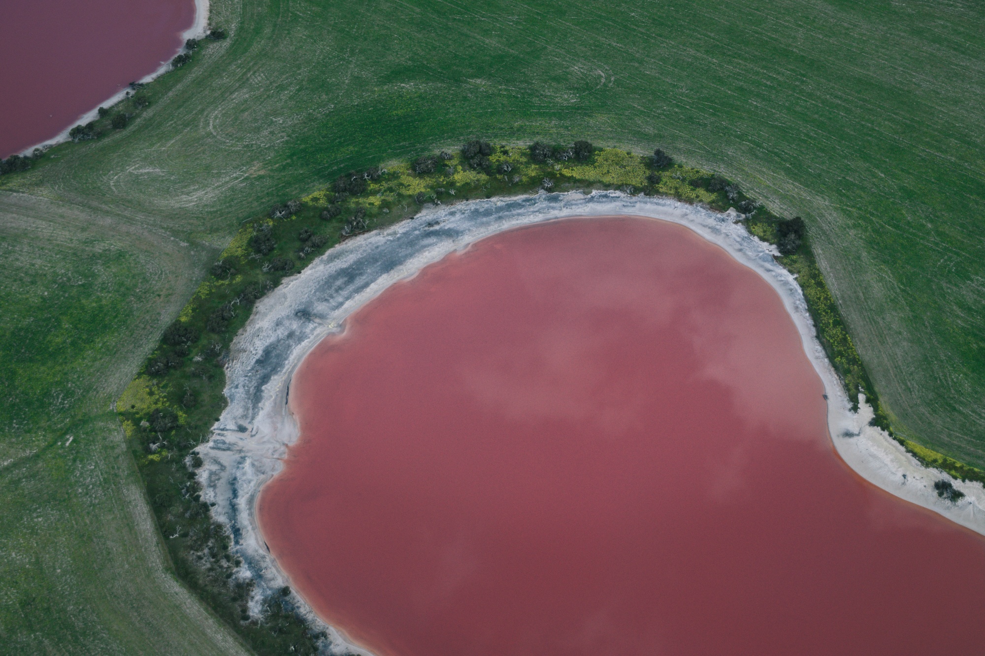 australia's pink lakes