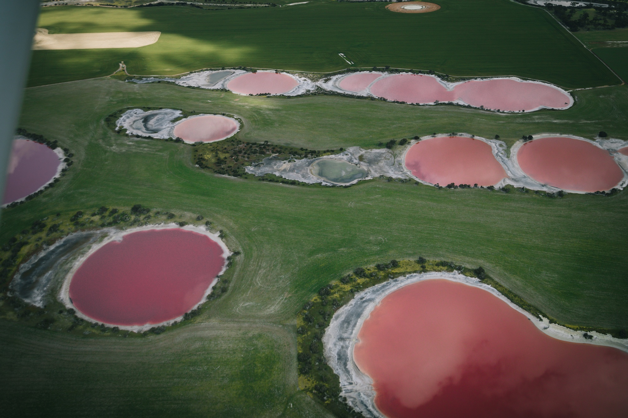 australia's pink lakes