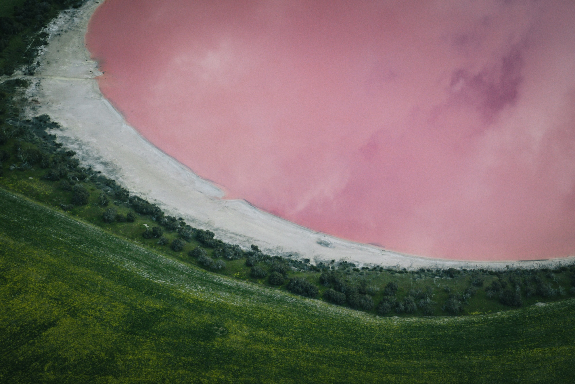 australia's pink lakes