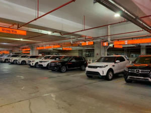 Everything You Need to Know About Renting a Car in Miami