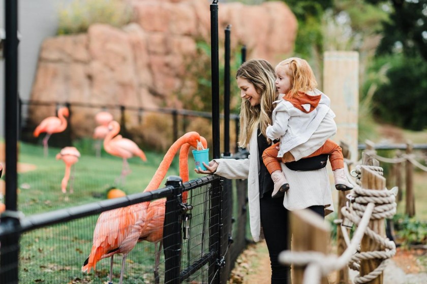 Top 20 Things to Do in Oklahoma City